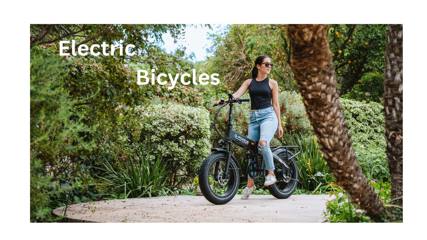 Electric Bicycles Price in Pakistan: Models, Company  Type