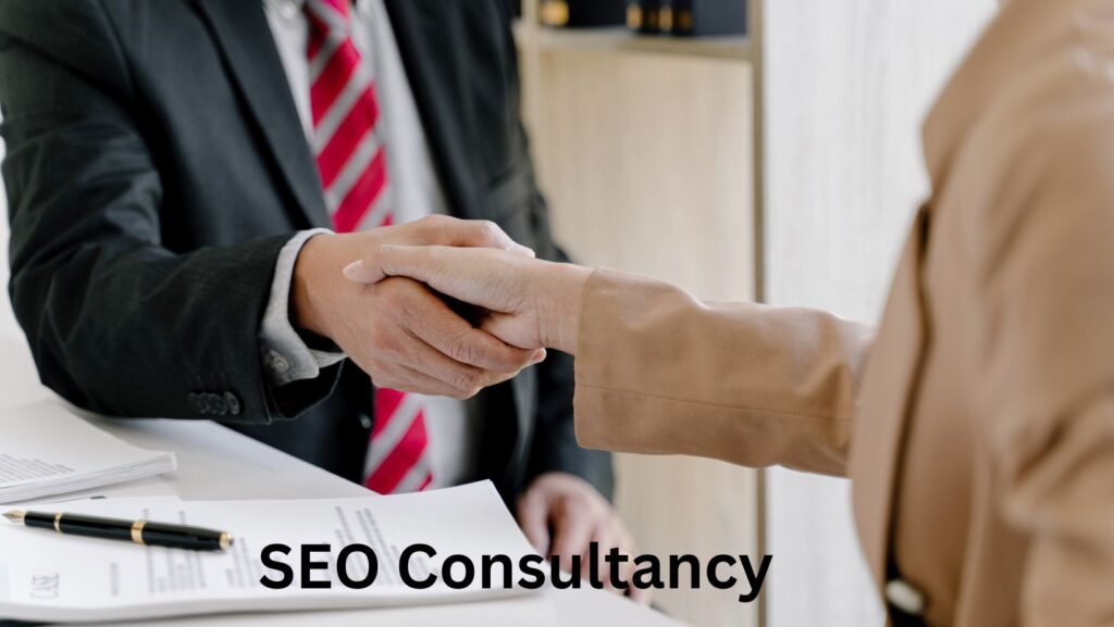 SEO Consultancy