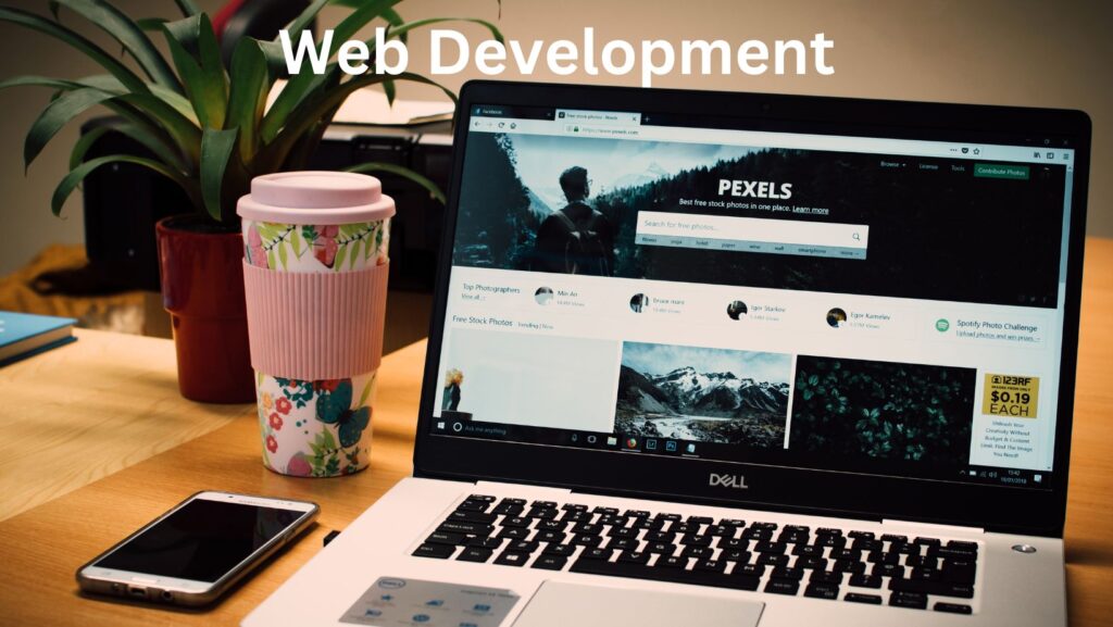 web development